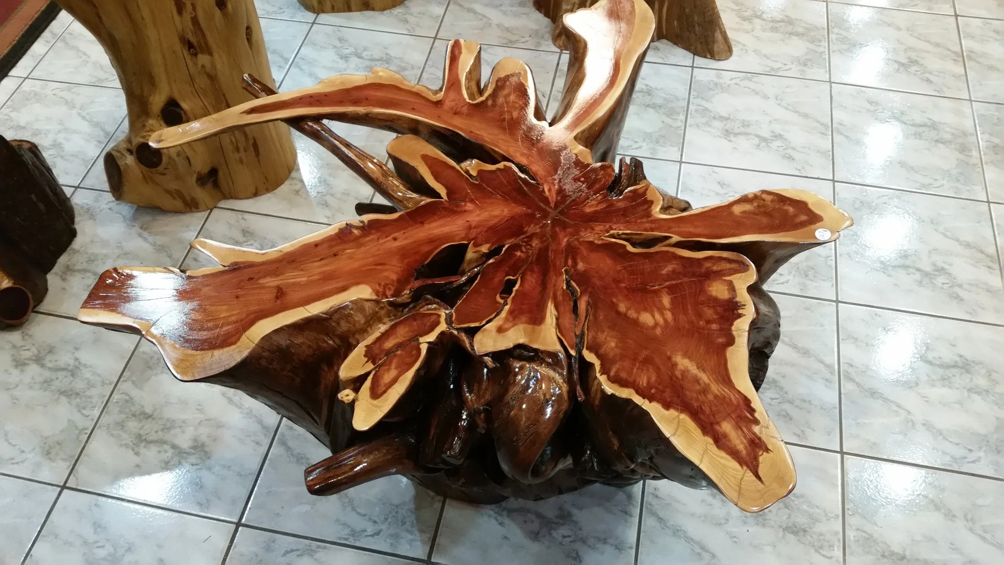 Cedar Root Coffee Table